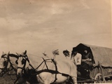 carriage