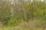 cemetary